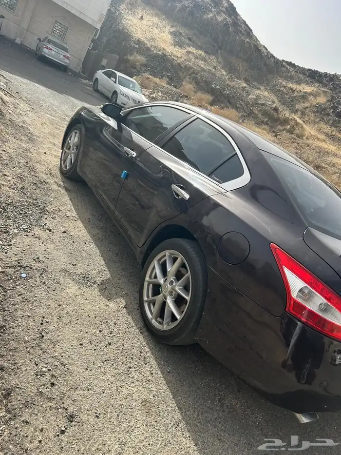 مكسيما فل كامل 2