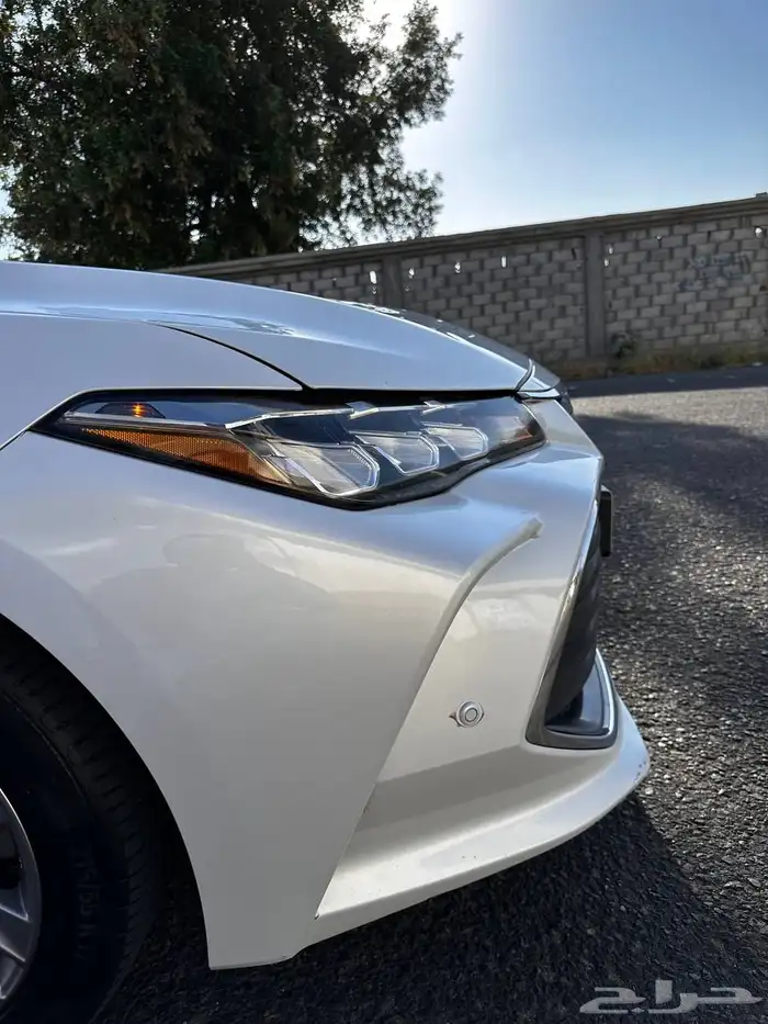 افالون تورنق 2021 بدي بلد 8