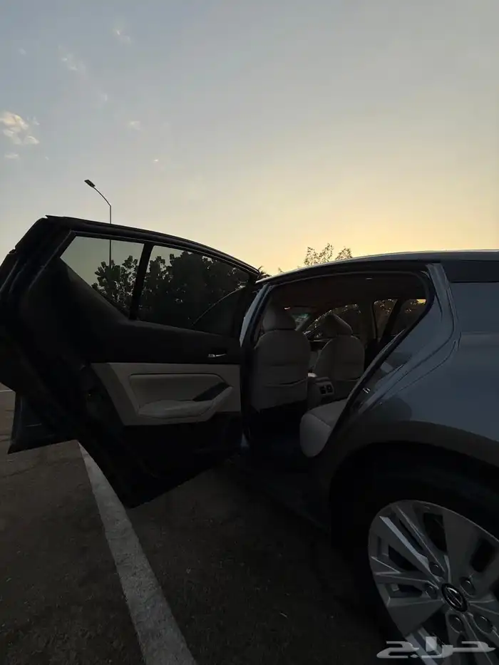 التيماء 2019 12