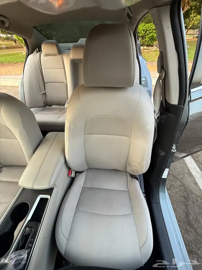 التيماء 2019 16