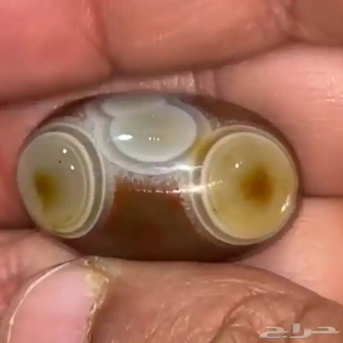 حجرين نوادر السليماني الهندي للبيع 0