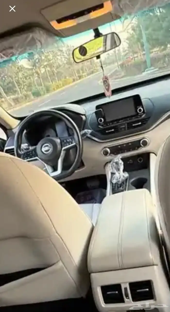 التيماء 2019 19