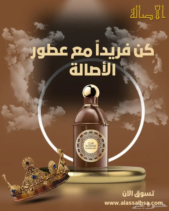 مصممة جرافيك وهويات بصرية 28