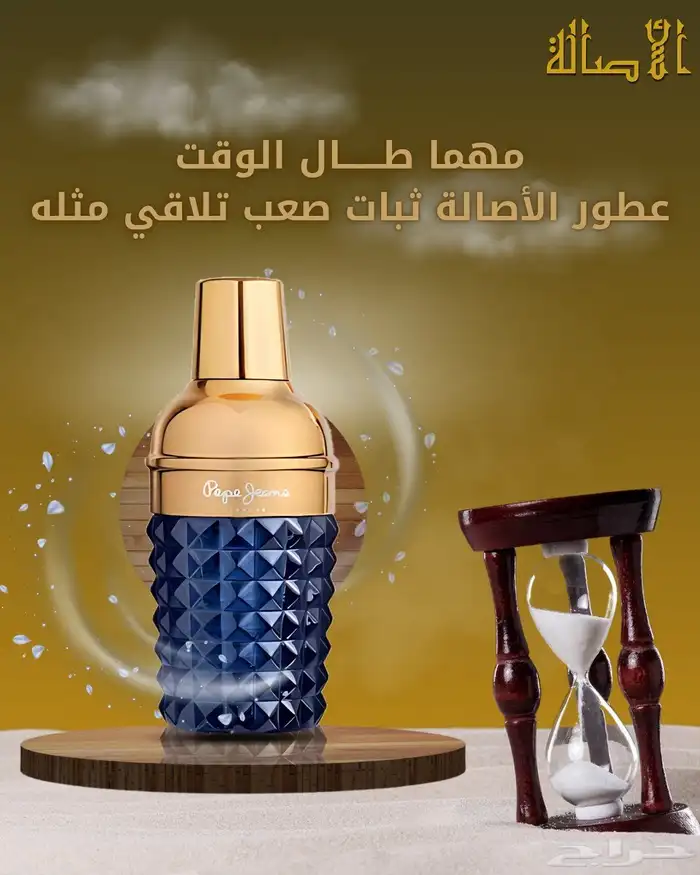 مصممة جرافيك وهويات بصرية 17