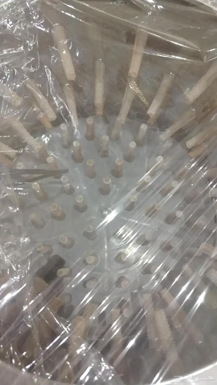 نتافات دجاج وحمام عون المربي 2