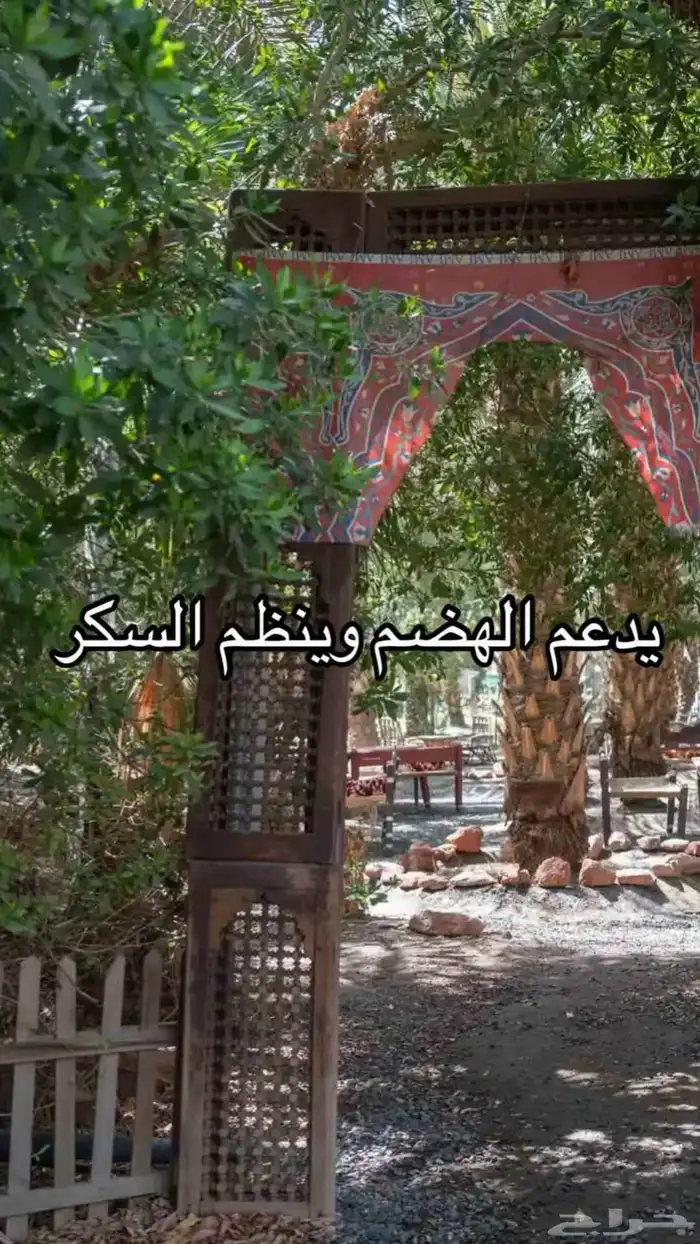 عجوة تمر من المدينه 4