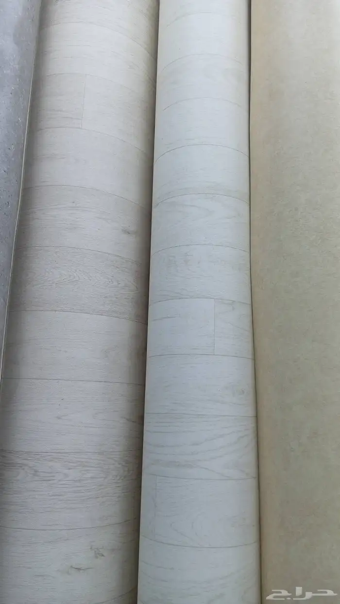 فنيل بلجيكي 1