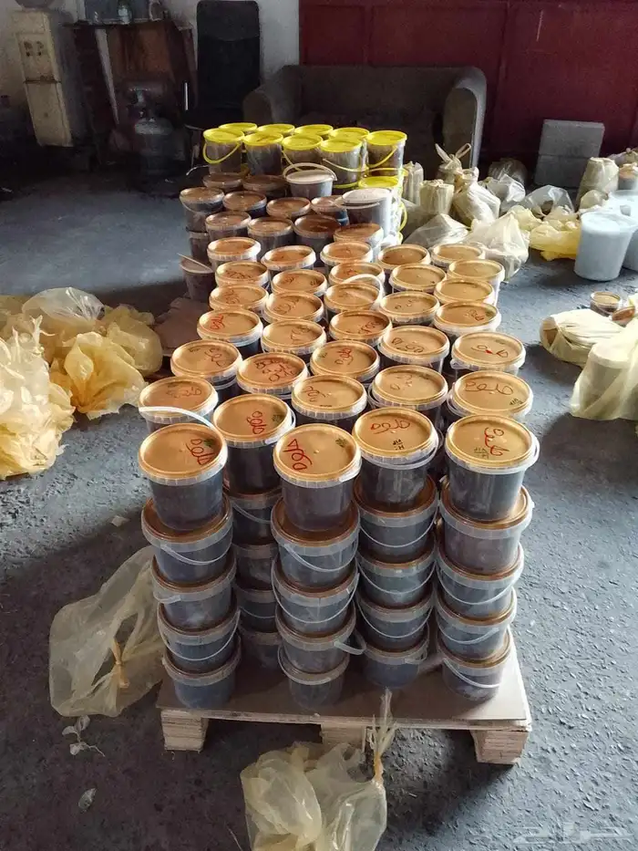 تمور حائل الفاخره 7