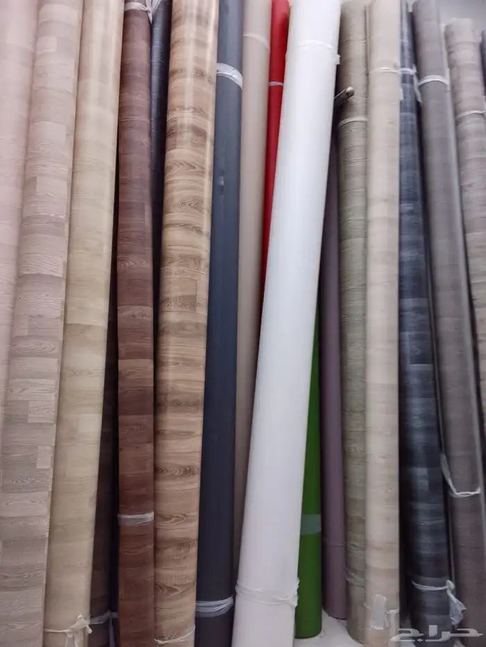 فنيل بلجيكي 24