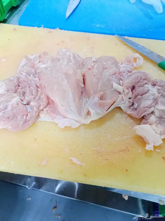 متوفر دجاج حى لاحم اوزان عاليه للشاورما 7
