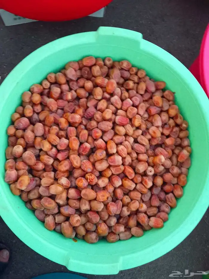 تمور حائل الفاخره 5