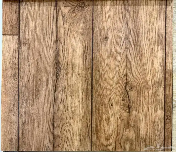 فنيل بلجيكي 15