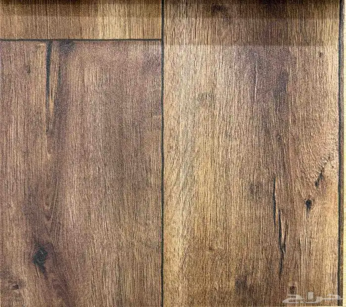 فنيل بلجيكي 18