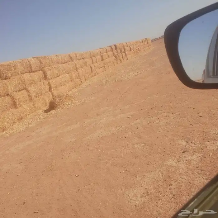 العلاف تبن قمح بالات كبيره 1