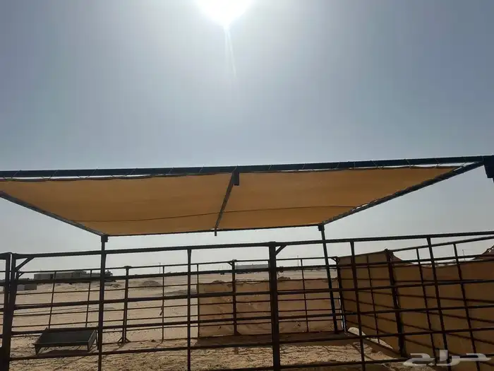 مظلات ابل مظلات غنم شبوك 7