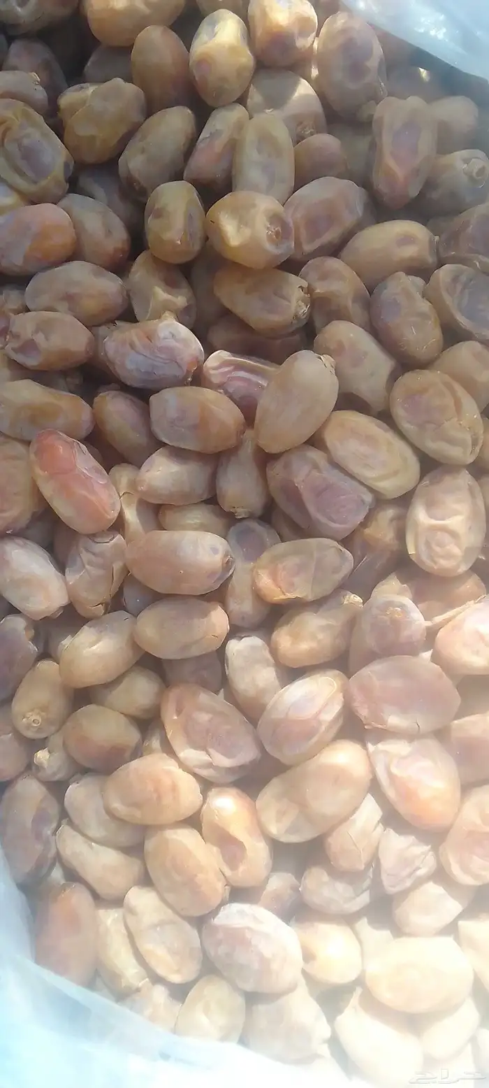 خلاص فاخر 1