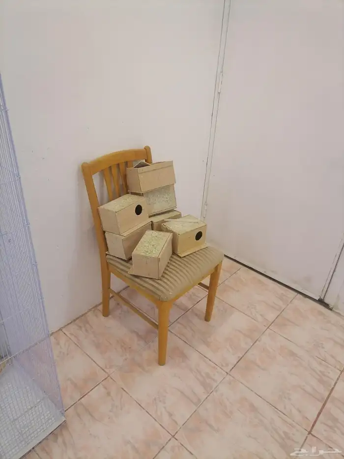 مطيار طيور وحوض سمك 2