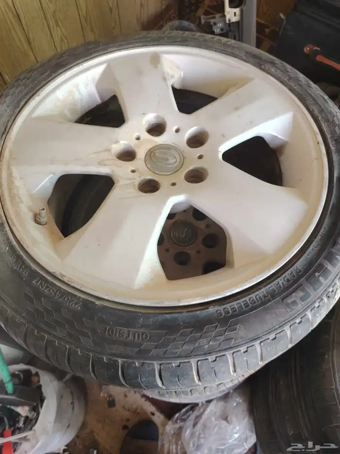 جنوت كابرس 2006 SS 1