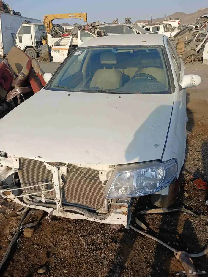 نيسان صني 2010 1