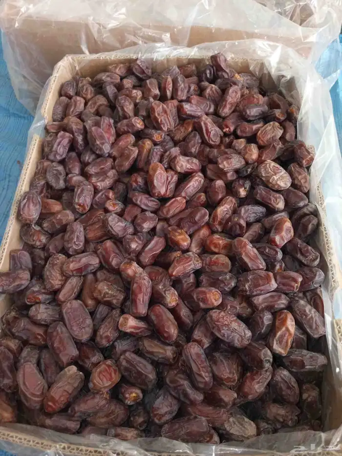 متوفر لدينا خضري حبه كبير ووسط وحوله الوسط الكميه 100طن 0