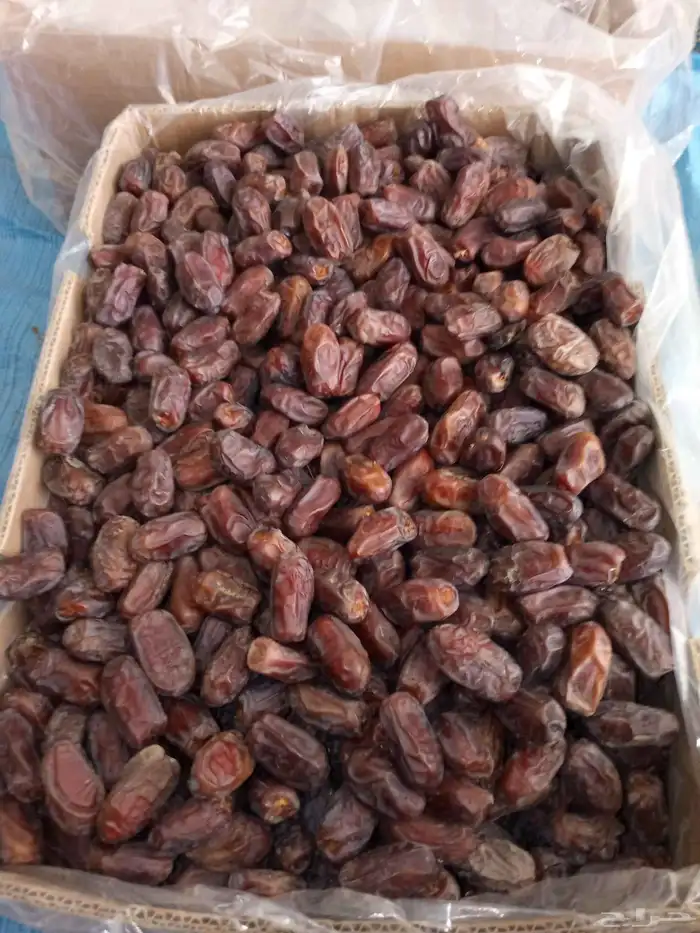 متوفر لدينا خضري حبه كبير ووسط وحوله الوسط الكميه 100طن 1