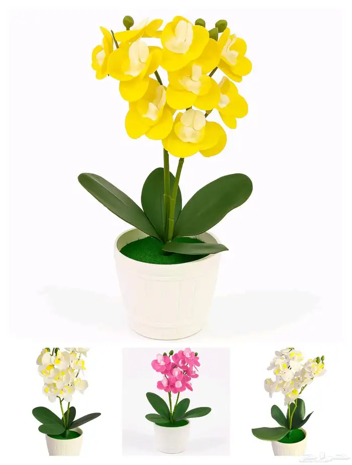 تحف وهدايا 12