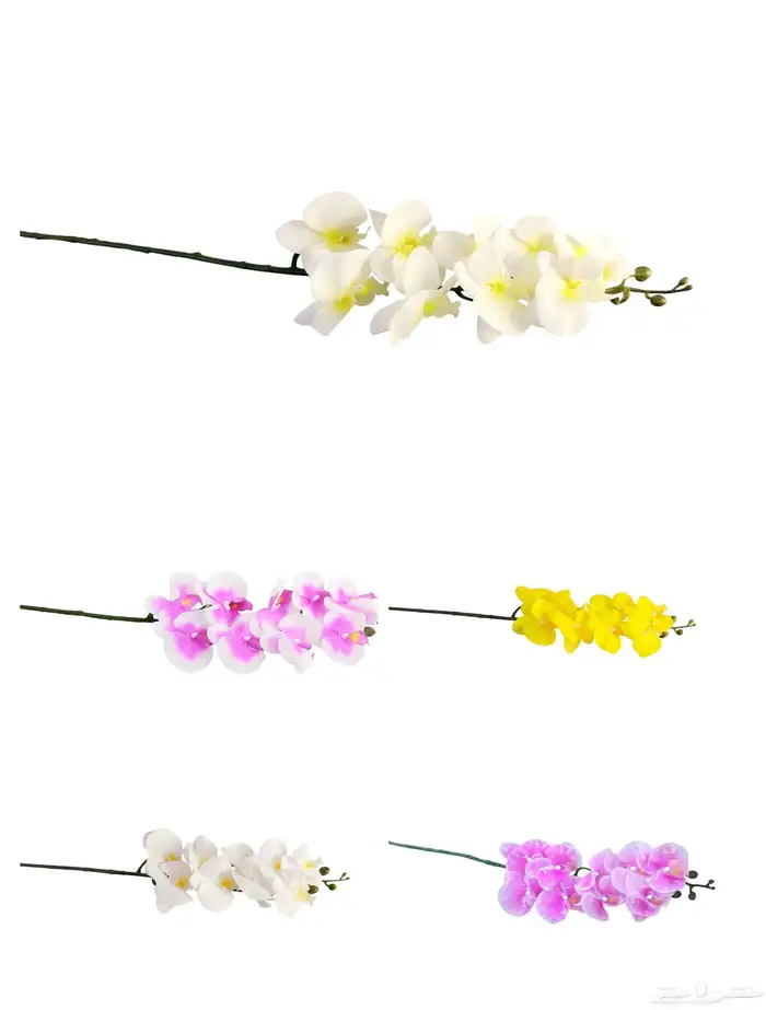 تحف وهدايا 14