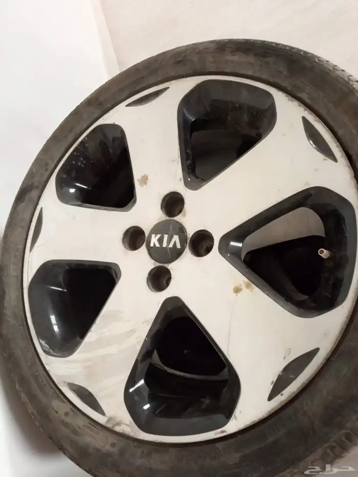 جنوط اصليه حق كياء مقاس 17 3