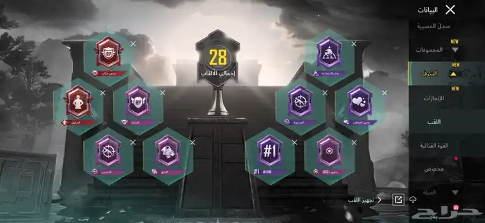 حساب ببجي للبيع 28
