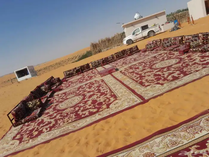 تأجير خيام جلست شعيبه كنب خيام اوروبي وكراسي ملكي كلاسيك 13