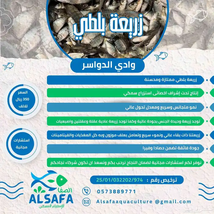 زريعة بلطي محسنة 0