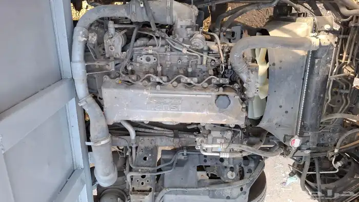 دينا ايسوزو 3