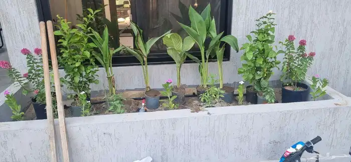 تنسيق حدائق 2