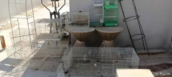 للبيع مشربات وشبوك للطيور 0