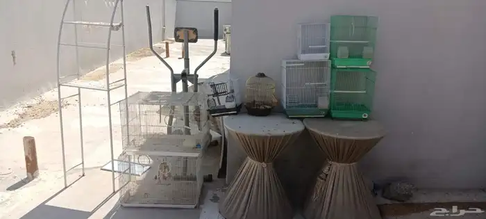 للبيع مشربات وشبوك للطيور 2