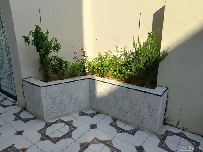 تنسيق الحدائق 7