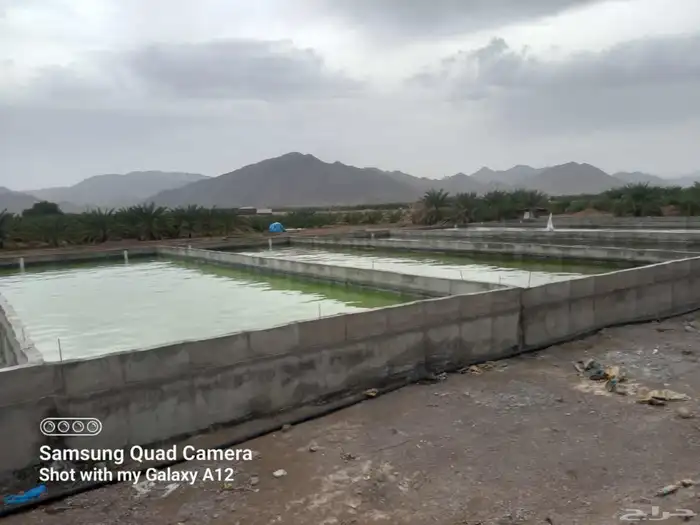 خزانات مبروم مزره خزانات سم  خزانات مسبخ 1