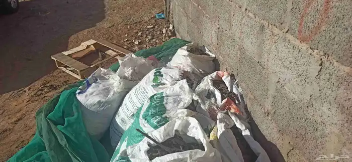 يتوفرزبل دجاج 1