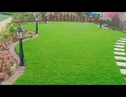 زراعه جميع انواع الاشجار والنخل والنجيل قص تزيين تقليم 5