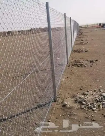 زراعه نخيل وتركيب شبوك 3