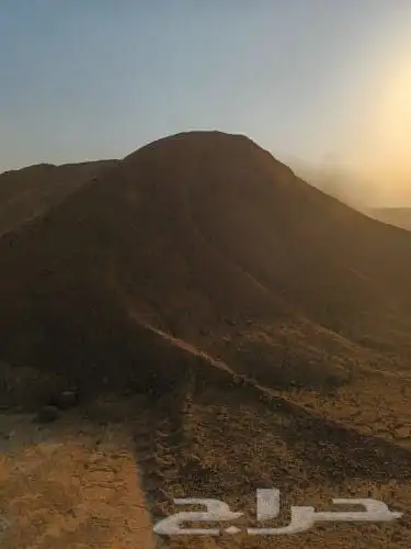 سماد بقري فوق الممتاز وسماد دواجن بياض 0