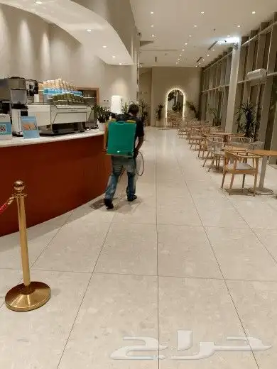 شركة مكافحة حشرات صرصار رش مبيدات تنظيف مجالس كنب فرشات سجاد 1