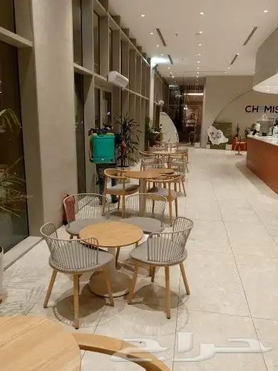 شركة مكافحة حشرات صرصار رش مبيدات تنظيف مجالس كنب فرشات سجاد 7