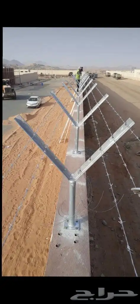 توريد النخيل البلدي والوشنطنيأ مع التركيب وشبوك المزارع 2