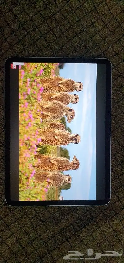 ايباد برو الجيل الرابع ipad pro gen 4 m2 2022 7