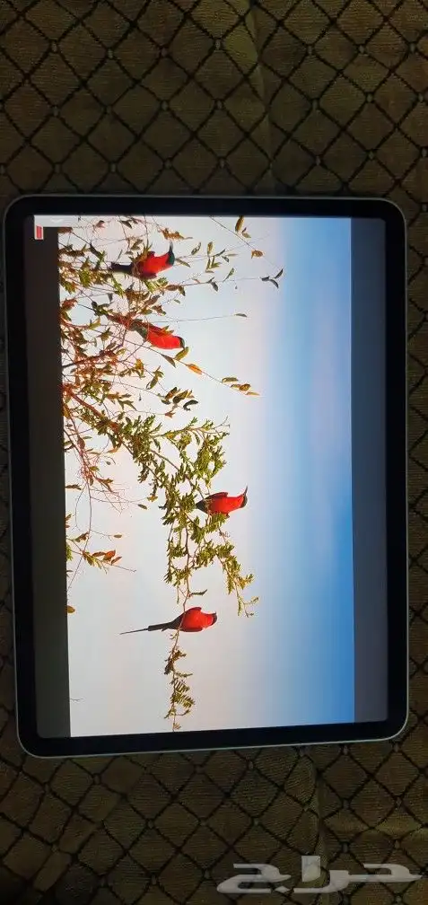 ايباد برو الجيل الرابع ipad pro gen 4 m2 2022 5