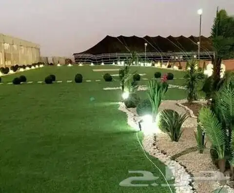 تنسق حدق مهندس جابر تركيب تيل صاني تركيب شبكات جميع الاشجار 8