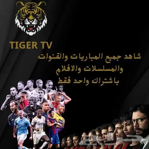 اشتراك Tiger TV   سنة كاملة 0
