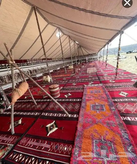 تأجير خيام جلست شعيبه كنب خيام اوروبي وكراسي ملكي كلاسيك 14