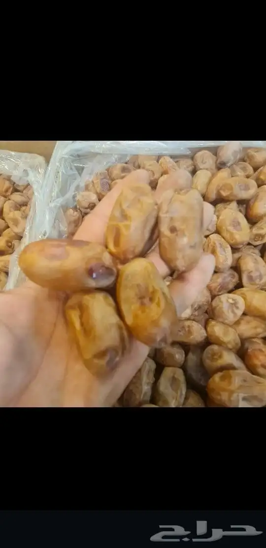 اخلاص وخضري 0